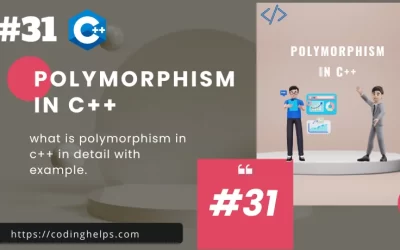 polymorphism in c++